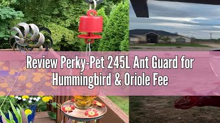 Review PerkyPet 245L Ant Guard for Hummingbird amp Oriole Feeders  Protects Nectar From Ants Red P [upl. by Llevram487]