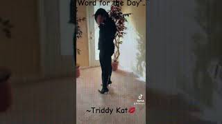 triddykat [upl. by Chance]