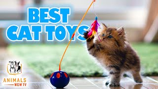 Top 10 Best Cat Toys You Can Buy Online 2021 [upl. by Dallas]