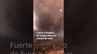 El impresionante torbellino de fuego sobre un campo de maíz [upl. by Nathalie221]