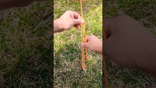 The Most USEFUL and EASIEST Knot to Know The TAUT LINE HITCH [upl. by Refynnej668]