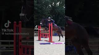 Bros ate   tags 🏷️ harlow edit horse tiktok shorts fyp [upl. by Jacinda148]