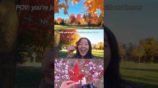 frolicking with red leaves in Toronto travelvlog torontofall aestheticedits [upl. by Chilson]