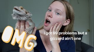 COMMON NEW BEARDED DRAGON PROBLEMS  SOLUTIONS [upl. by Alejandra]