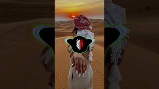 New Afghan Remix Song Slowed Reverb 2024 Afghan Remix Song Bass Boosted [upl. by Yelha702]