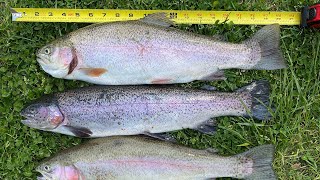 Fishing the White Clay Creek for Trout Catching someone the trophy trout [upl. by Ssej]