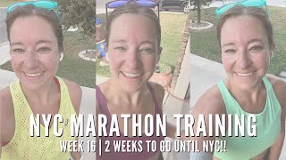 WEEK 16  NYC MARATHON TRAINING  2 WEEKS TO GO UNTIL NYC [upl. by Macomber561]