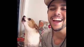 Cantando com o Cachorrinho  João de Barro [upl. by Kyred]