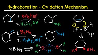 Hydroboration Oxidation Mechanism of Alkenes  BH3 THF H2O2 OH Organic Chemistry [upl. by Wooster]