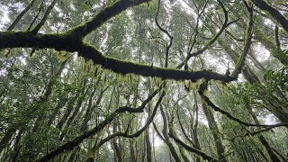 La Gomera  Canary island Short movie amazing Island  4K [upl. by Landy]