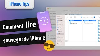 Comment lire la sauvegarde iPhone directement [upl. by Imojean526]