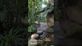 Botanischer Garten in Berlin [upl. by Richmound]