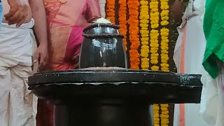 Shri Bhramarambika Sahitha Shembhulingeshwara Shivratri [upl. by Chipman]