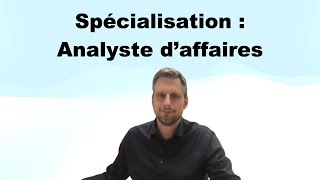 Analyste daffaires  Les spécialisations en TI [upl. by Hike]