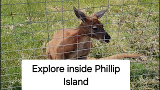 Explore inside Phillip Island [upl. by Darnall462]