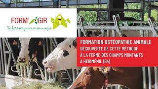 Formation ostéopathie animale 🐮​ [upl. by Octavie]