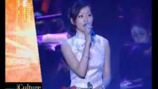 Deng Lijun music concert  news cctv9  part B [upl. by Faunia]