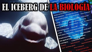 EL ICEBERG DE LA BIOLOGÍA 🔬​ [upl. by Novello]