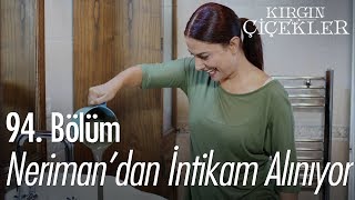 Nerimandan intikam alınıyor  Kırgın Çiçekler 94 Bölüm [upl. by Crandale]