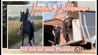 WIR KAUFEN UNS EIN JUNKERN BEEL PONY  ICH ZIEHE AUF EINEN PFERDEHOF 🐴 [upl. by Ellehcan]