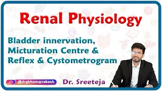 Bladder innervation Micturation centre amp Reflex and Cystometrogram  Renal physiology USMLE Step 1 [upl. by Inahc]