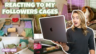 REACTING TO MY FOLLOWERS GUINEA PIG CAGES 🐽 ✨ [upl. by Lyns118]