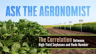 AskTheAgronomist HighYield Soybeans and Node Count [upl. by Shuler]