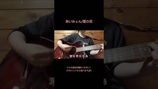 あいみょんの愛の花弾き語りで歌ってみました🌷cover 弾き語り 歌ってみた あいみょん 愛の花 [upl. by Montford]