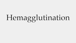 How to Pronounce Hemagglutination [upl. by Smallman]