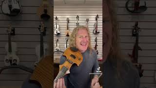 How Do Fretted Violins Work [upl. by Pazit]