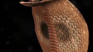 Meet the Inland Taipan Worlds Most Venomous Snake [upl. by Ras67]