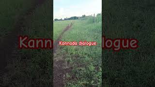 Famous dialogue shorts cow calmitdown musicsong funny musicstyle amrutkumbar life love [upl. by Morganica922]