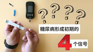 Ep 4 II型糖尿病形成初期的4个信号｜高胰岛素血症｜胰岛素抵抗 [upl. by Midian42]