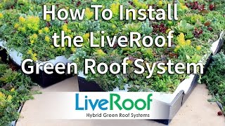 How to Install a Green Roof Using the LiveRoof System [upl. by Gabie]