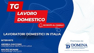 Tg Lavoro Domestico  Lavoratori domestici in Italia [upl. by Edahc809]