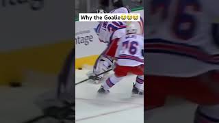 Biggest Hits In The NHL pt4 hockeyhighlights hockeyhits nhl [upl. by Ridan]