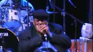 James Cotton live at Dutch Mason Blues Festival [upl. by Labina]