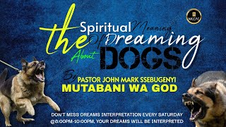 The spiritual meaning of a dog in a dream by PASTOR JOHN MARK SSEBUGENYI [upl. by Anitram553]