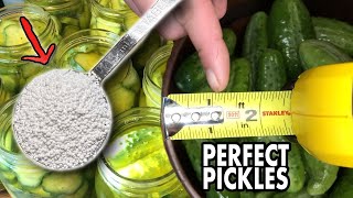 Pickle PERFECTION Crunchy Dill Pickle Recipe For Beginners  Baby Dill amp Hamburger Pickles [upl. by Annawyt]