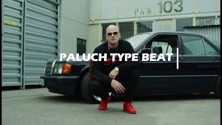 FREE Paluch Type Beat  Type Beat Paluch Free 2024 ProdEpBEATS [upl. by Malilliw]