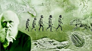 Evolution  What Darwin Never Knew  NOVA Full Documentary HD [upl. by Attaymik]