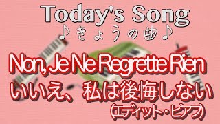 ピアフ「いいえ、私は後悔しない」 Non Je Ne Regrette Rien Piaf （足立区の花火大会） [upl. by Nesline418]