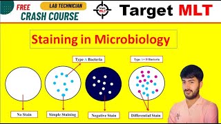 9 Staining in microbiology by Sachin Punia  DSSSB  RRB  PGIMER  Aiims JSSC Osssc 2024 mlt [upl. by Nnaylrebmik]