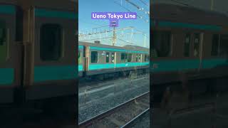 Ueno Tokyo Line 🚆 train tokyo ueno omiya japantravel shortsfeed [upl. by Herta460]