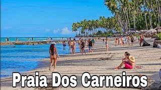 Praia Dos Carneiros Pernambuco Dicas Importantes E Preço De Pousadas [upl. by Stella]