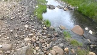 Willow Creek Hot Springs in Idaho [upl. by Erkan29]