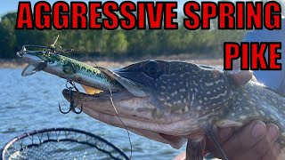 Fishing For Spring Northern Pike [upl. by Eeb]