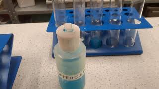 Exothermic and endothermic reactions [upl. by Moises327]