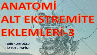 Alt Ekstremite Eklemler i Anatomi Konu Anlatımı3 fizyoterapist sağlık [upl. by Stein]