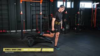 Dumbbell Bench Lunge for Hips with Tribe Lifting Lifting Belt [upl. by Mloclam]